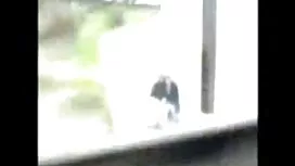 姉妹競合のためにSpaniardsによっ ...