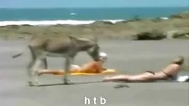 そして、彼の妻を共有する友人はふしだらな ...