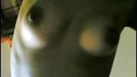 文書によるとこれはあなたのお兄さんです  ...